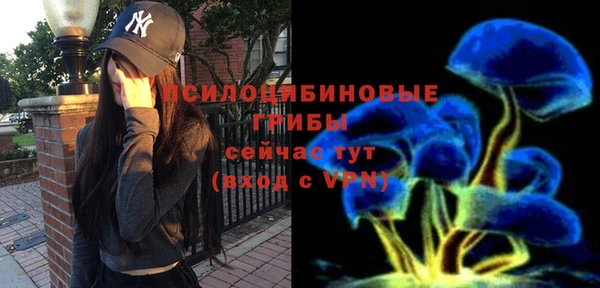 стаф Зеленокумск