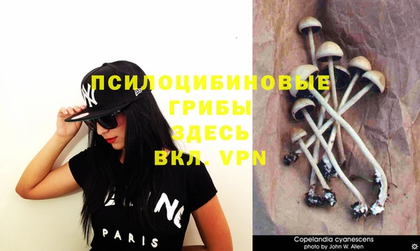 дмт Зерноград