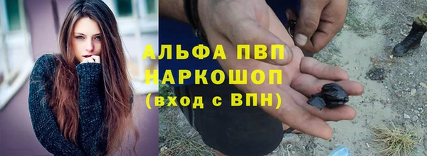 стаф Зеленокумск