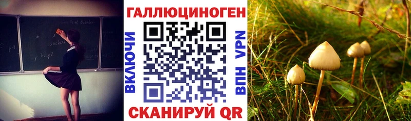 Псилоцибиновые грибы Magic Shrooms  Купить  Озёры 